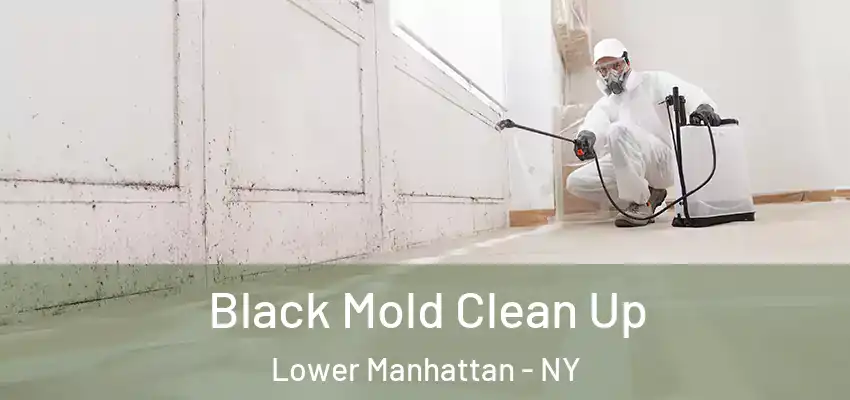 Black Mold Clean Up Lower Manhattan - NY
