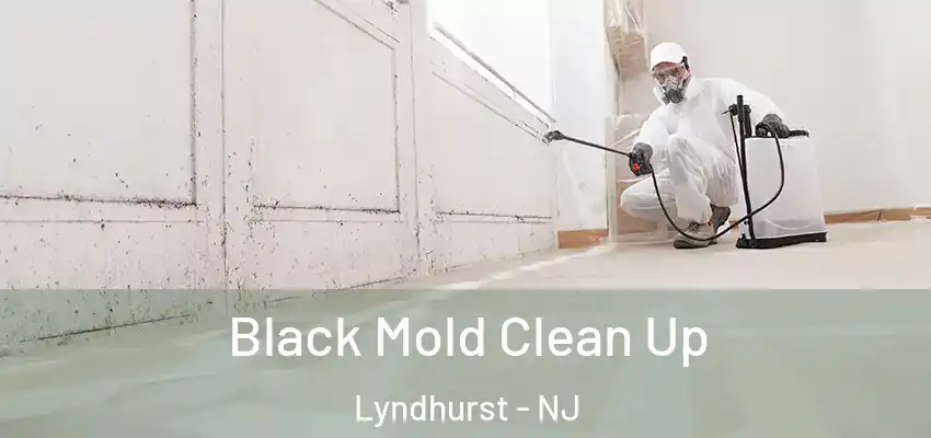 Black Mold Clean Up Lyndhurst - NJ