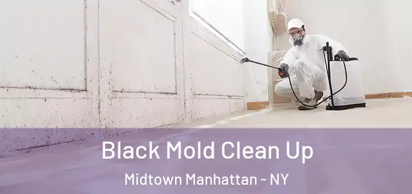 Black Mold Clean Up Midtown Manhattan - NY