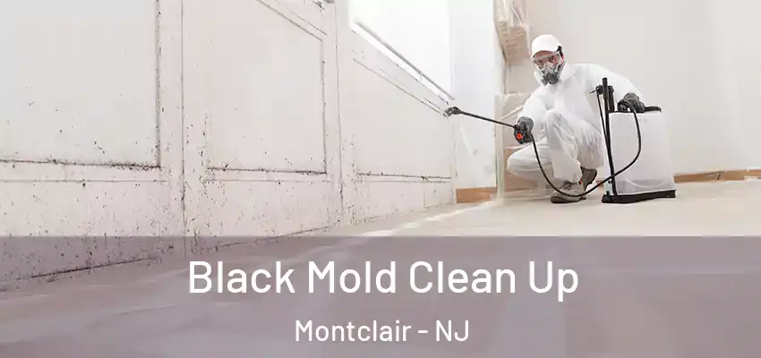 Black Mold Clean Up Montclair - NJ