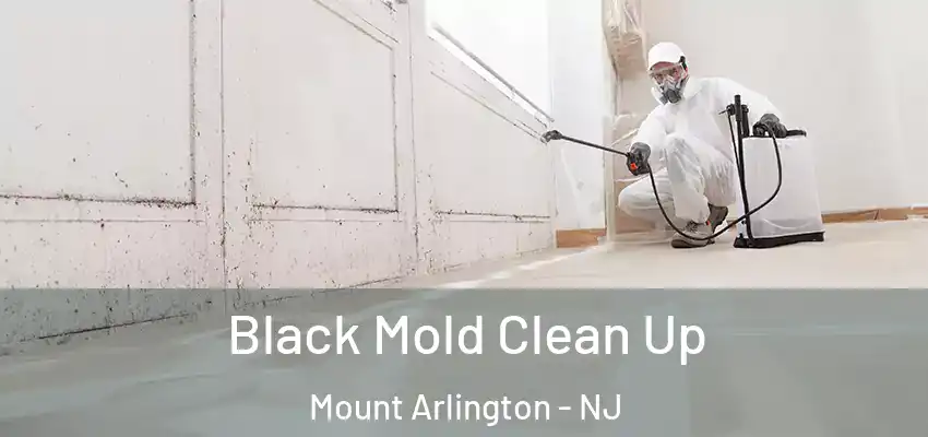  Black Mold Clean Up Mount Arlington - NJ