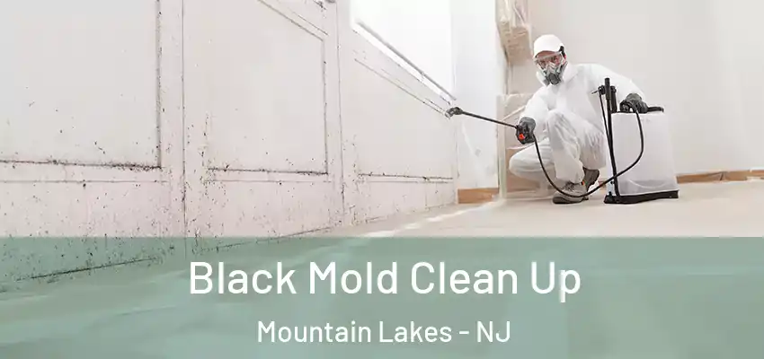 Black Mold Clean Up Mountain Lakes - NJ