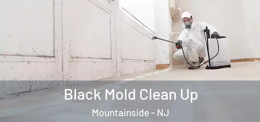 Black Mold Clean Up Mountainside - NJ