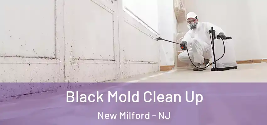 Black Mold Clean Up New Milford - NJ