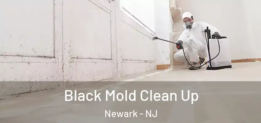 Black Mold Clean Up Newark - NJ