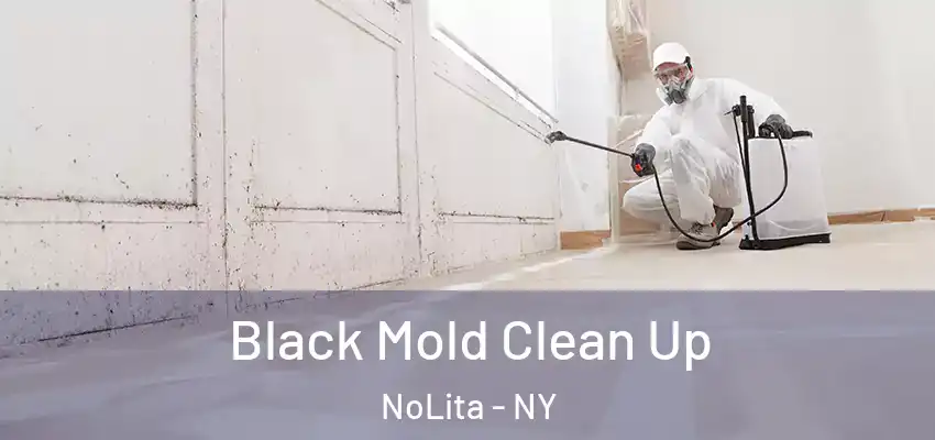 Black Mold Clean Up NoLita - NY