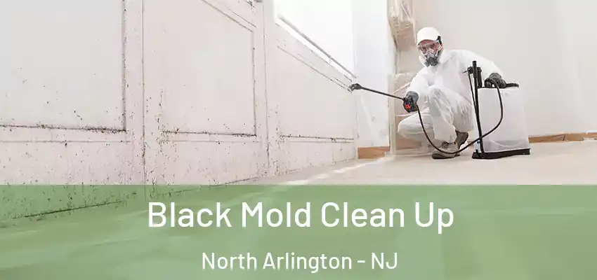 Black Mold Clean Up North Arlington - NJ