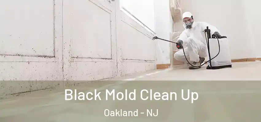  Black Mold Clean Up Oakland - NJ