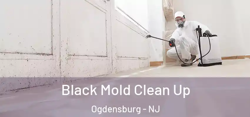 Black Mold Clean Up Ogdensburg - NJ