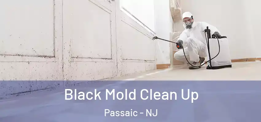 Black Mold Clean Up Passaic - NJ