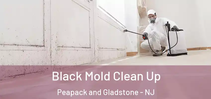  Black Mold Clean Up Peapack and Gladstone - NJ