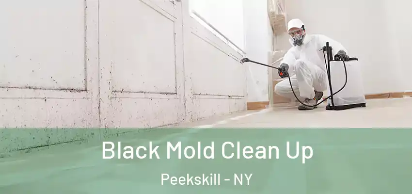 Black Mold Clean Up Peekskill - NY