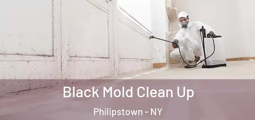 Black Mold Clean Up Philipstown - NY