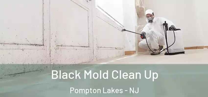 Black Mold Clean Up Pompton Lakes - NJ