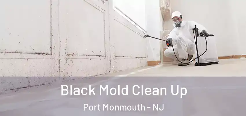 Black Mold Clean Up Port Monmouth - NJ