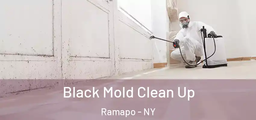 Black Mold Clean Up Ramapo - NY