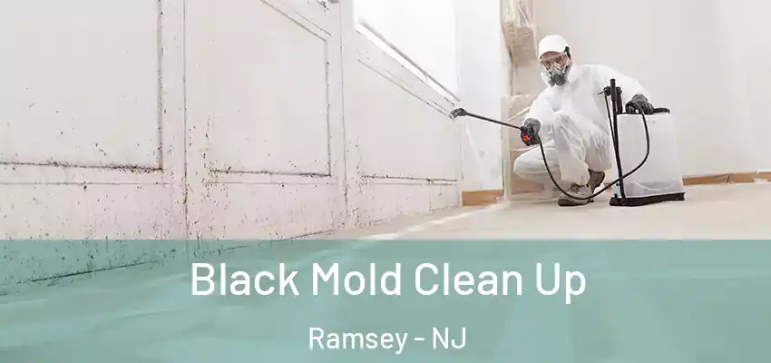 Black Mold Clean Up Ramsey - NJ