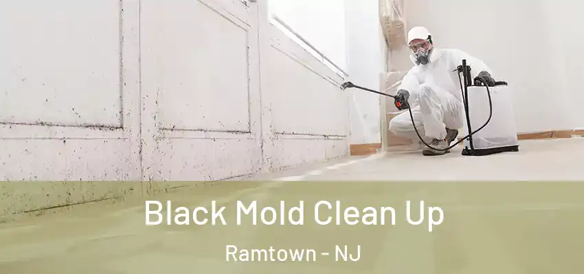  Black Mold Clean Up Ramtown - NJ