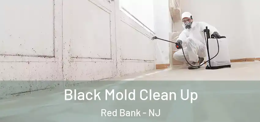  Black Mold Clean Up Red Bank - NJ