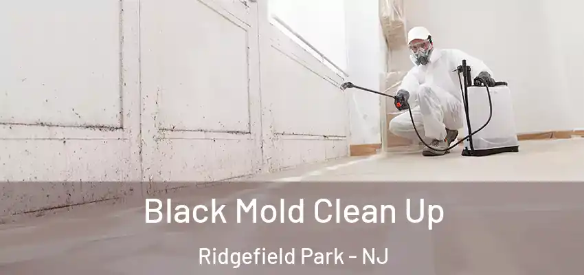 Black Mold Clean Up Ridgefield Park - NJ