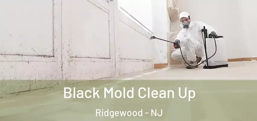 Black Mold Clean Up Ridgewood - NJ
