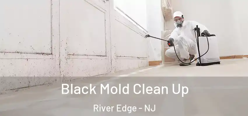 Black Mold Clean Up River Edge - NJ