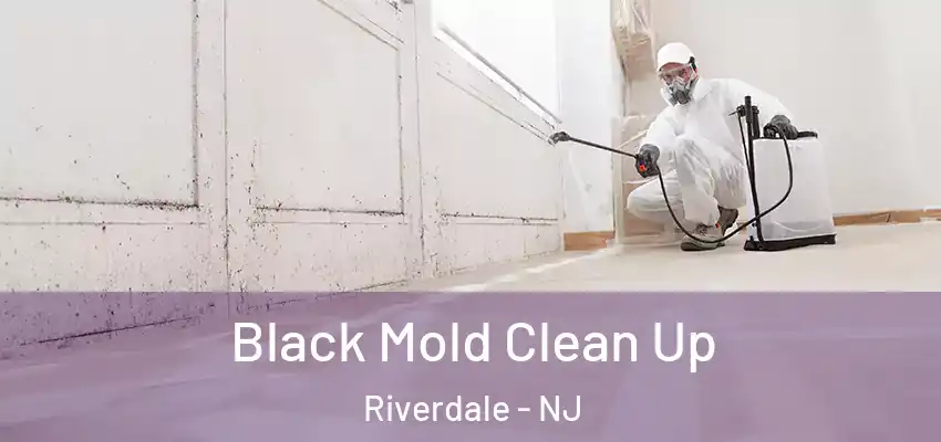  Black Mold Clean Up Riverdale - NJ