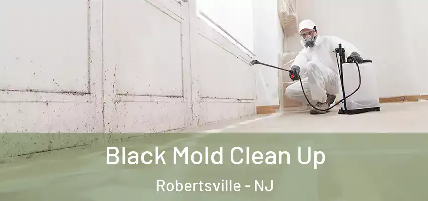  Black Mold Clean Up Robertsville - NJ