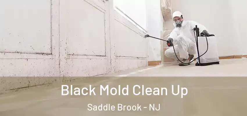  Black Mold Clean Up Saddle Brook - NJ