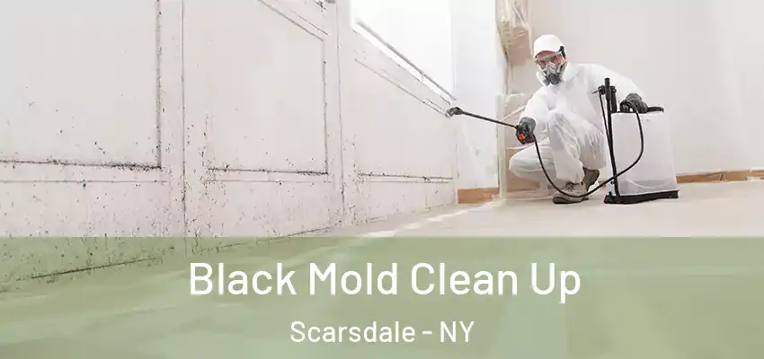 Black Mold Clean Up Scarsdale - NY
