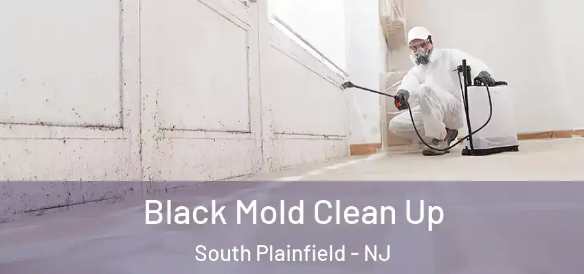  Black Mold Clean Up South Plainfield - NJ