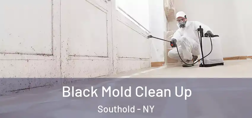  Black Mold Clean Up Southold - NY