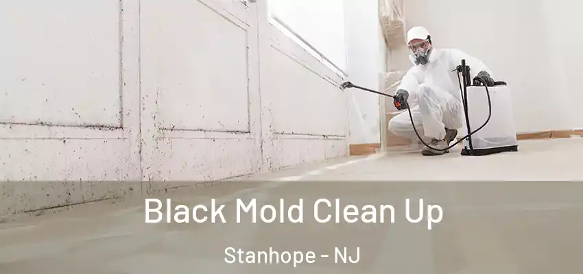  Black Mold Clean Up Stanhope - NJ