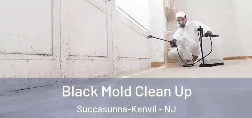  Black Mold Clean Up Succasunna-Kenvil - NJ