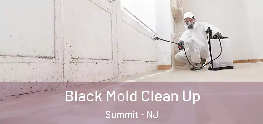 Black Mold Clean Up Summit - NJ