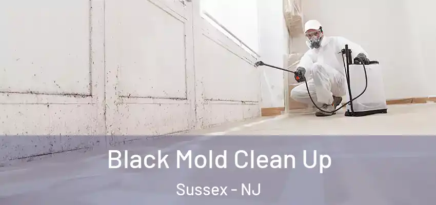 Black Mold Clean Up Sussex - NJ
