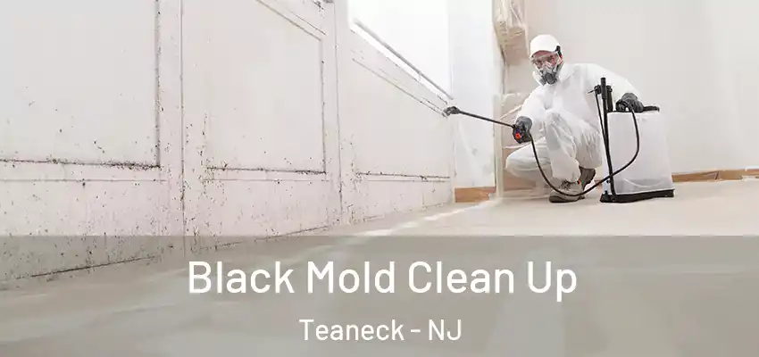  Black Mold Clean Up Teaneck - NJ