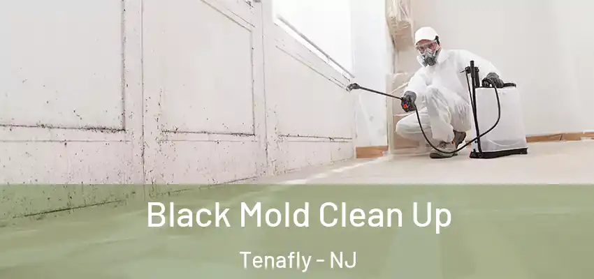 Black Mold Clean Up Tenafly - NJ