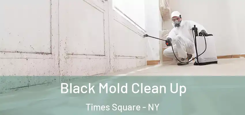 Black Mold Clean Up Times Square - NY