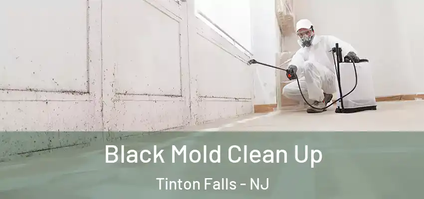  Black Mold Clean Up Tinton Falls - NJ