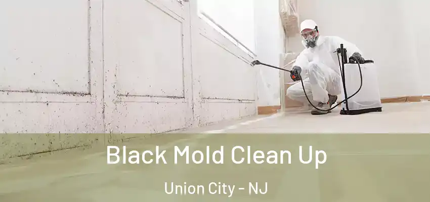 Black Mold Clean Up Union City - NJ