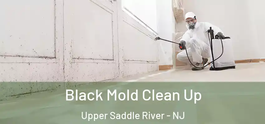  Black Mold Clean Up Upper Saddle River - NJ