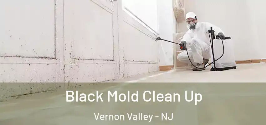  Black Mold Clean Up Vernon Valley - NJ