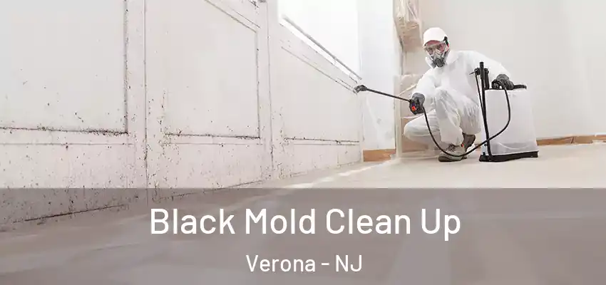  Black Mold Clean Up Verona - NJ