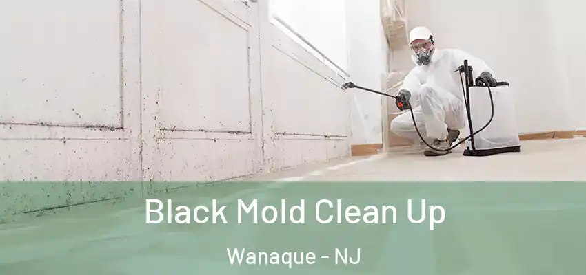 Black Mold Clean Up Wanaque - NJ