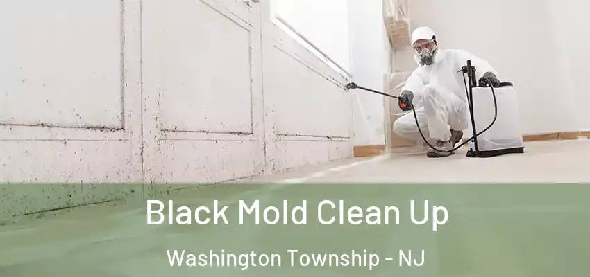 Black Mold Clean Up Washington Township - NJ