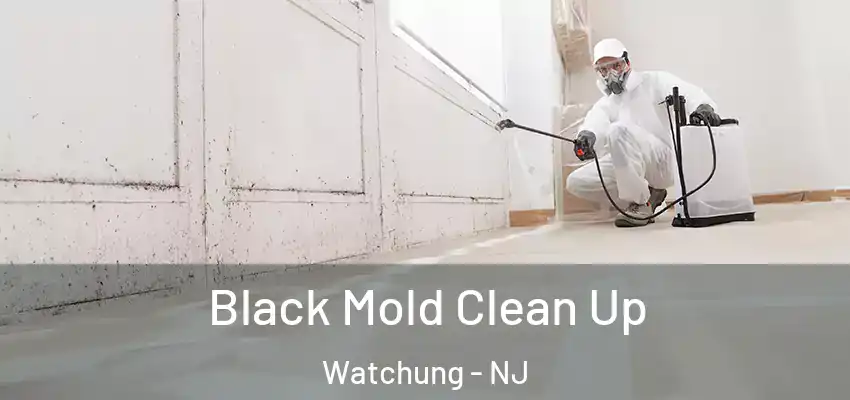 Black Mold Clean Up Watchung - NJ
