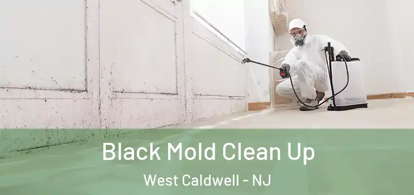 Black Mold Clean Up West Caldwell - NJ