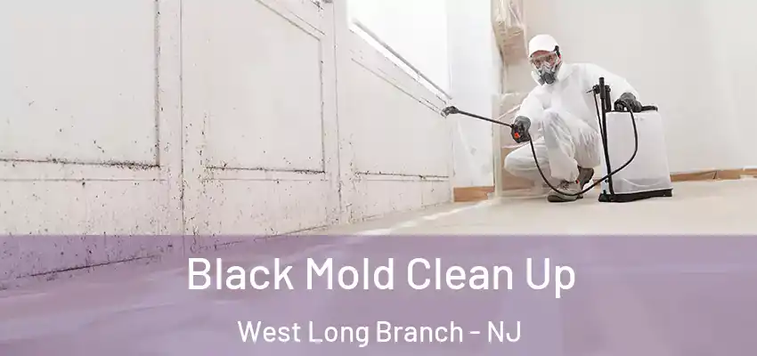 Black Mold Clean Up West Long Branch - NJ