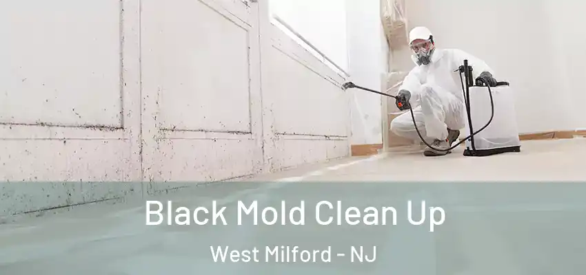 Black Mold Clean Up West Milford - NJ